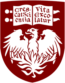 芝加哥大学